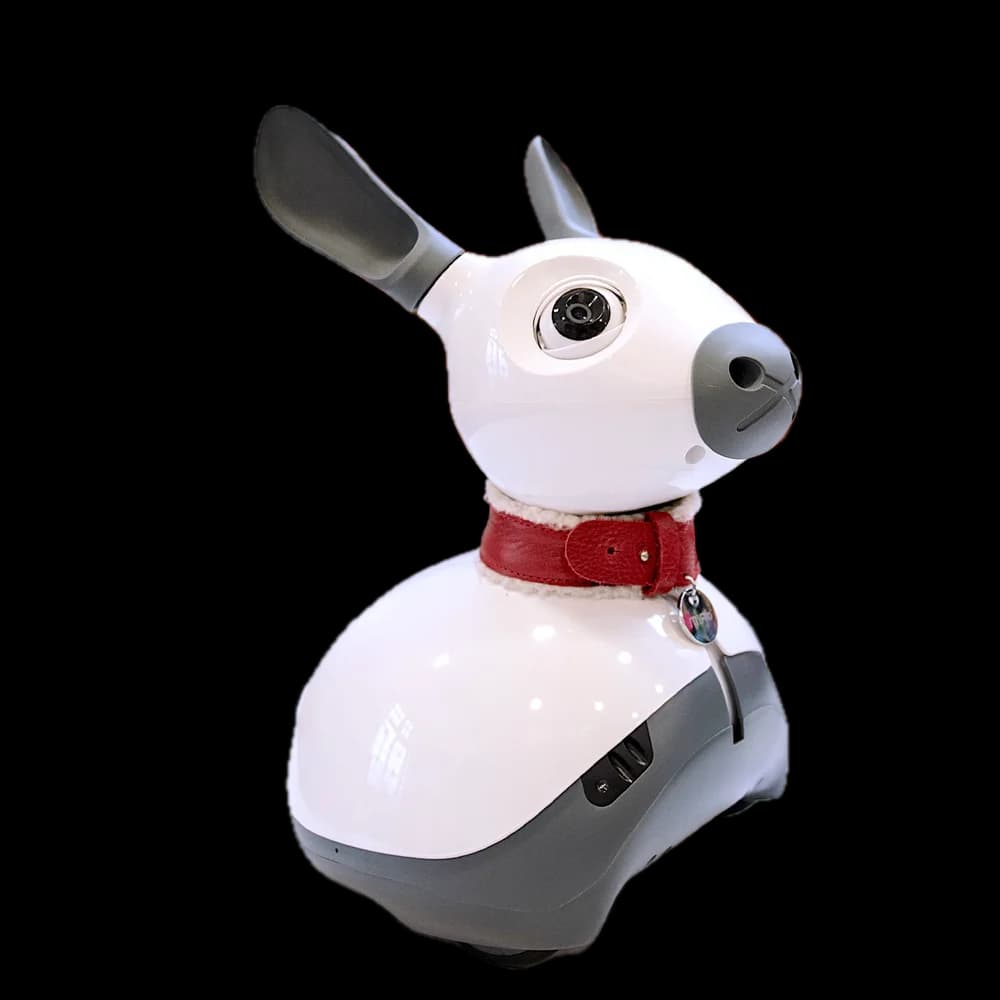 MiRo-E social companion robot
